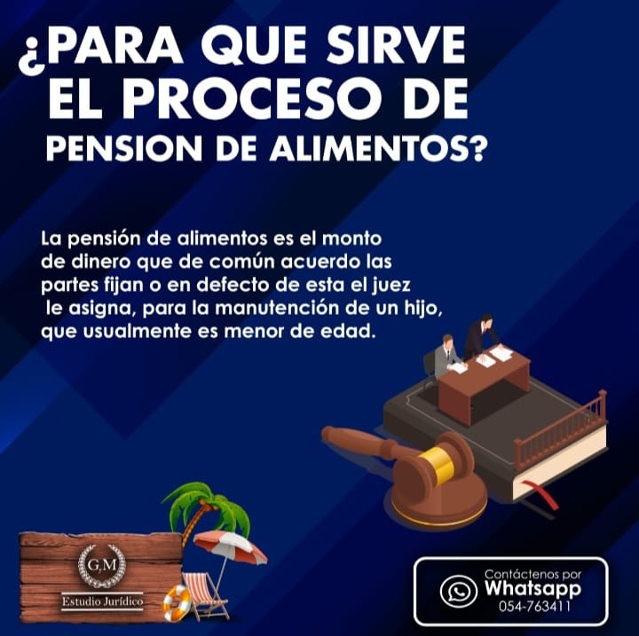 Campaña Pensión De Alimentos